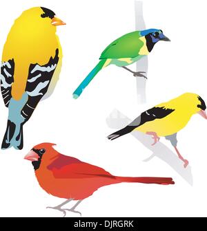 Collection of birds. Vector. EPS10 Stock Vector