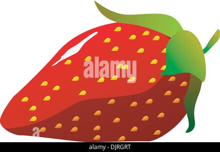 Strawberries. vector Stock Vector