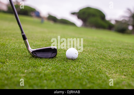 Golf stick and ball on green grass Stock Photo