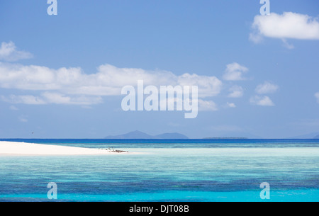 Seabirds on a beach at Michaelmas Cay, Great Barrier Reef, Australia Stock Photo