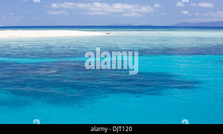 Seabirds on a beach at Michaelmas Cay, Great Barrier Reef, Australia Stock Photo