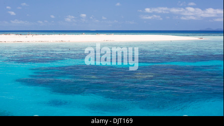 Seabirds on a beach at Michaelmas Cay, Great Barrier Reef, Australia Stock Photo