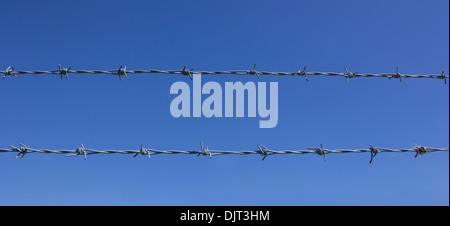 Barbed wire fence Stock Photo