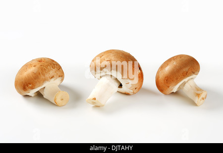 Fresh brown mushrooms - studio shot Stock Photo