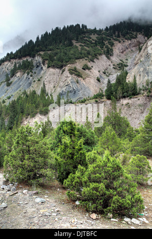 Kizilsu glacier park, Oytagh valley, Kizilsu Prefecture, Xinjiang Uyghur Autonomous Region, China Stock Photo