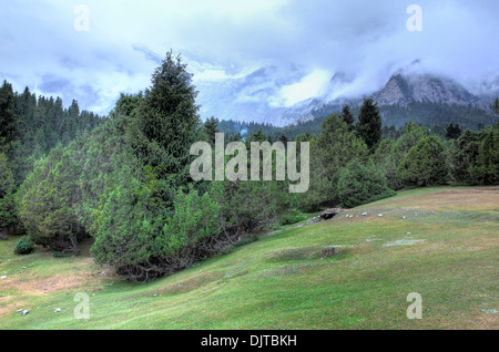 Kizilsu glacier park, Oytagh valley, Kizilsu Prefecture, Xinjiang Uyghur Autonomous Region, China Stock Photo