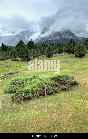 Kizilsu glacier park, Oytagh valley, Kizilsu Prefecture, Xinjiang Uyghur Autonomous Region, China Stock Photo