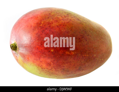 Large mango fruit on white background Stock Photo