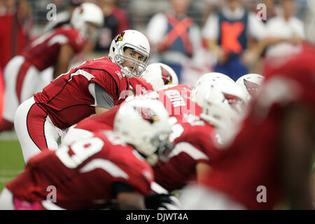 Oct. 10, 2010 - Glendale, Arizona, United States of America - Arizona Cardinals quarterback Max Hall (#6) at the line of scrimmage during a game against the New Orleans Saints at University of Phoenix Stadium in Glendale, Arizona.  The Cardinals defeated the Saints 30-20. (Credit Image: © Gene Lower/Southcreek Global/ZUMApress.com) Stock Photo