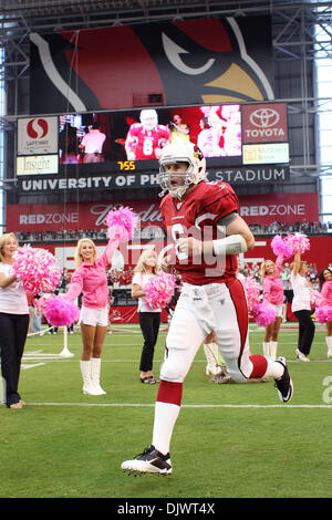 Oct. 10, 2010 - Glendale, Arizona, United States of America - Arizona Cardinals quarterback Max Hall (#6) takes the field during player introductions before a game against the New Orleans Saints at University of Phoenix Stadium in Glendale, Arizona.  The Cardinals defeated the Saints 30-20. (Credit Image: © Gene Lower/Southcreek Global/ZUMApress.com) Stock Photo