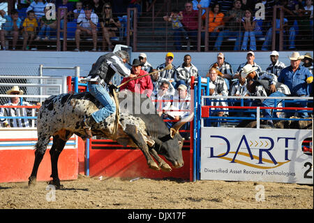 Bull Riding at the Angola State Prison Rodeo in Louisiana State ...