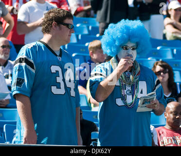 Oct. 24, 2010 - Charlotte, North Carolina, United States of America - Pnathe fan has game face on .The Panthers beat the 49er's 23-20 at Bank of America Stadium, Charlotte NC. (Credit Image: © Mark Abbott/Southcreek Global/ZUMApress.com) Stock Photo