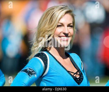 Oct. 24, 2010 - Charlotte, North Carolina, United States of America - Top Cat cheerleader. The Panthers beat the 49er's 23-20 at Bank of America Stadium, Charlotte NC. (Credit Image: © Mark Abbott/Southcreek Global/ZUMApress.com) Stock Photo