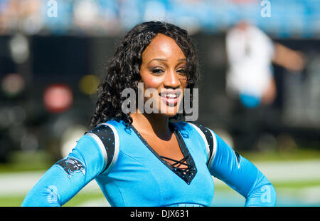 Oct. 24, 2010 - Charlotte, North Carolina, United States of America - Panthers Top cat cheerleader. The Panthers beat the 49er's 23-20 at Bank of America Stadium, Charlotte NC. (Credit Image: © Mark Abbott/Southcreek Global/ZUMApress.com) Stock Photo