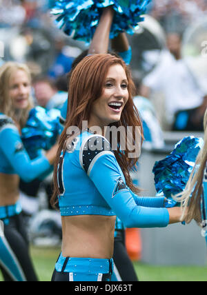 Oct. 24, 2010 - Charlotte, North Carolina, United States of America - Panther cheerleader in action. The Panthers beat the 49er's 23-20 at Bank of America Stadium, Charlotte NC. (Credit Image: © Mark Abbott/Southcreek Global/ZUMApress.com) Stock Photo