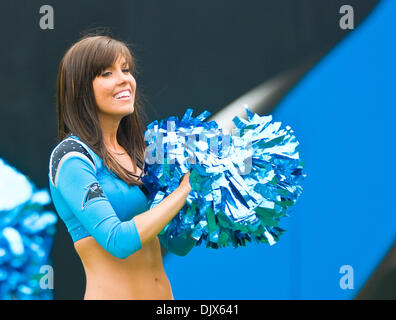 Oct. 24, 2010 - Charlotte, North Carolina, United States of America - Panther cheerleader cheers on the Panthers. The Panthers beat the 49er's 23-20 at Bank of America Stadium, Charlotte NC. (Credit Image: © Mark Abbott/Southcreek Global/ZUMApress.com) Stock Photo