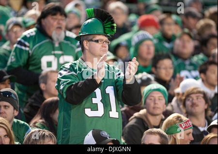 Nov. 6, 2010 - Regina, Saskatchewan, Canada - A Saskatchewan Roughriders fan cheers in action during the Saskatchewan RoughrIders vs Edmonton Eskimos game at Mosaic Stadium in Regina. The Saskatchewan Roughriders defeated the Edmonton Eskimos 31-23. (Credit Image: © Derek Mortensen/Southcreek Global/ZUMApress.com) Stock Photo