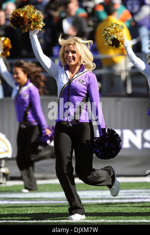 Nov. 7, 2010 - Baltimore, Maryland, United States of America - Ravens' cheerleaders enter the field prior to Sunday afternoon's game between the Baltimore Ravens and the Miami Dolphins at M&T Bank Stadium in Baltimore, MD. The score tied at seven at the end of the first quarter. (Credit Image: © Russell Tracy/Southcreek Global/ZUMApress.com) Stock Photo