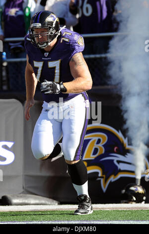 Nov. 7, 2010 - Baltimore, Maryland, United States of America - Baltimore Ravens center Matt Birk (77) enters the field prior to Sunday afternoon's game between the Baltimore Ravens and the Miami Dolphins at M&T Bank Stadium in Baltimore, MD. The score tied at seven at the end of the first quarter. (Credit Image: © Russell Tracy/Southcreek Global/ZUMApress.com) Stock Photo