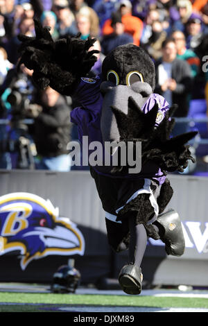 Nov. 7, 2010 - Baltimore, Maryland, United States of America - Ravens' mascot Poe enter the field prior to Sunday afternoon's game between the Baltimore Ravens and the Miami Dolphins at M&T Bank Stadium in Baltimore, MD. The score tied at seven at the end of the first quarter. (Credit Image: © Russell Tracy/Southcreek Global/ZUMApress.com) Stock Photo