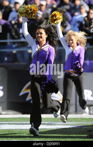 Nov. 7, 2010 - Baltimore, Maryland, United States of America - Ravens' cheerleaders enter the field prior to Sunday afternoon's game between the Baltimore Ravens and the Miami Dolphins at M&T Bank Stadium in Baltimore, MD. The score tied at seven at the end of the first quarter. (Credit Image: © Russell Tracy/Southcreek Global/ZUMApress.com) Stock Photo