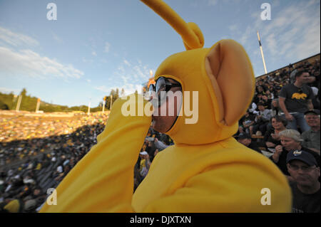 Nov. 13, 2010 - Berkeley, California, United States of America - An Oregon fan cheers before the NCAA game between the California Golden Bears and the Oregon Ducks at Memorial Stadium.  Top-ranked Oregon beat Cal 15-13. (Credit Image: © Matt Cohen/Southcreek Global/ZUMApress.com) Stock Photo