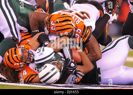 Cincinnati Bengals - Cincinnati Bengals linebacker Keith Rivers (55) looks  to tackle Pittsburgh Steelers running back Rashard Mendenhall (34) during  the first quarter of an NFL football game, Sunday, Dec. 12, 2010