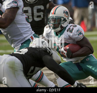 Nov. 28, 2010 - Oakland, CA, USA - Oakland Raiders vs Miami Dolphins at Oakland-Alameda County Coliseum Sunday, October 10, 2010.  Miami Dolphins running back Ronnie Brown #23 runs through defenders..Raiders loose to Dolphins 33-17 (Credit Image: © Al Golub/ZUMAPRESS.com) Stock Photo