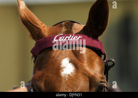 Polo horse with Cartier head band at Cartier International polo day 2008 Stock Photo