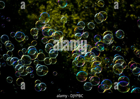 colorful floating soap bubbles in the air Stock Photo