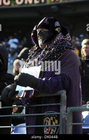 Dec. 19, 2010 - Baltimore, Maryland, United States of America - A Baltimore Ravens fan watches the team warm up before Sunday afternoon's game against the New Orleans Saints at M&T Bank Stadium in Baltimore, MD. (Credit Image: © Russell Tracy/Southcreek Global/ZUMAPRESS.com) Stock Photo