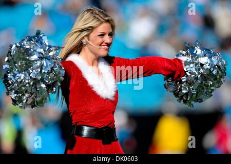 Dec. 19, 2010 - Charlotte, North Carolina, United States of America - Carolina Panthers Top Cat dancers perform during a time out.Panthers defeat the Cardinals 19-12 at the Bank of America Stadium in Charlotte North Carolina. (Credit Image: © Anthony Barham/Southcreek Global/ZUMAPRESS.com) Stock Photo