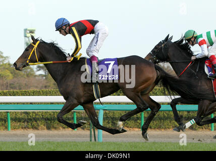 Dec. 26, 2010 - Chiba, Japan - Jockey CHRISTOPHE SOUMILLON aboard Buena Vista crosses the finishing line in the second place during the 55th Arima Memorial at Nakayama racecourse on December 26, 2010 in Funabashi, Japan. (Credit Image: © Shugo Takemi/Jana Press/ZUMAPRESS.com) Stock Photo