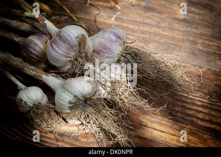 Freshly dried garlic against old wooden planks Stock Photo