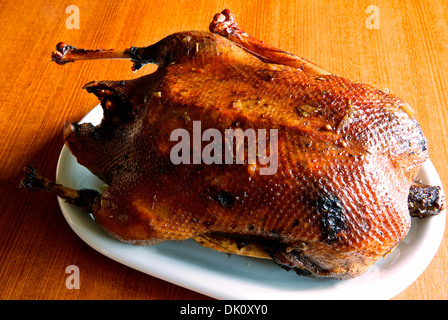 Slow oven braised wild Canada goose ceramic porcelain serving platter Stock Photo
