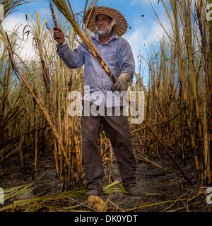 Farmer working in a sugar cane field, Sigatoka, Viti Levu, Fiji Stock Photo