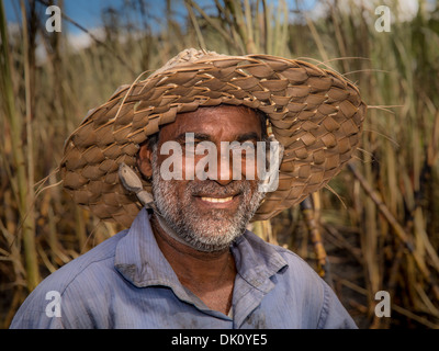 Farmer working in a sugar cane field, Sigatoka, Viti Levu, Fiji Stock Photo