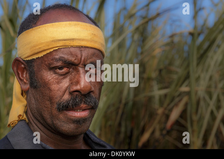 Farm worker on a field of sugar cane, Sigatoka, Viti Levu, Fiji Stock Photo