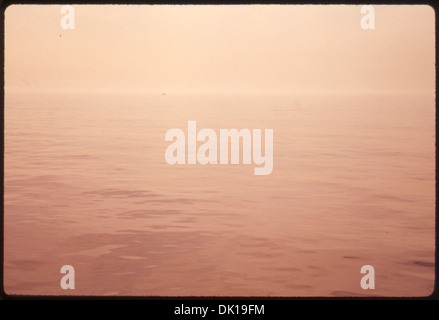 SMOG ON THE BIGHT 13 MILES OFFSHORE NEAR THE SLUDGE DUMPING GROUNDS. THE NEW YORK BIGHT IS A UNIQUE COASTAL MARINE... 555717 Stock Photo