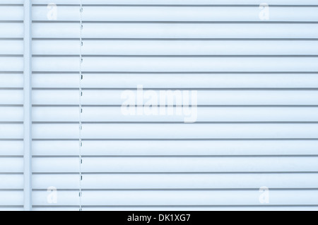 White venetian mini blind with adjusting wand Stock Photo