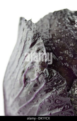 Fresh red cabbage vegetable on white background Stock Photo