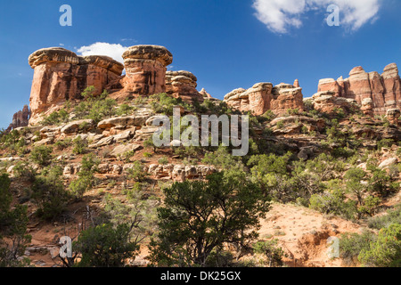 Huge mushroom shaped rock formations in Elephant Canyon in the remote Needles District of Canyonlands National Park, Utah Stock Photo