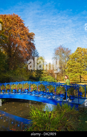 Blue Bridge in Fuerst-Pueckler-Park, Bad Muskau, Saxonia, Germany Stock Photo