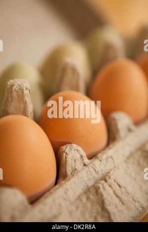 Close up of organic brown eggs in carton Stock Photo