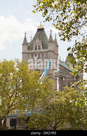 Trees in front of Tower Bridge, London, England, United Kingdom Stock Photo