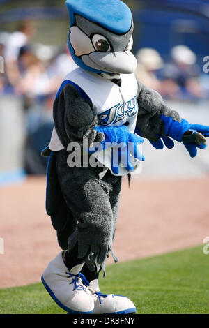 Mar. 2, 2011 - Dunedin, Florida, U.S - Blue Jays mascot during a