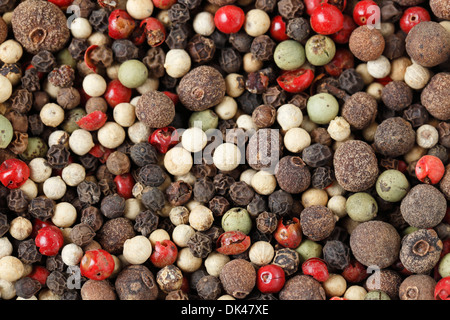 A mixture of different kinds of peppercorns, including black, white, green, grey, pink and Jamaican pepper - or allspice. Stock Photo