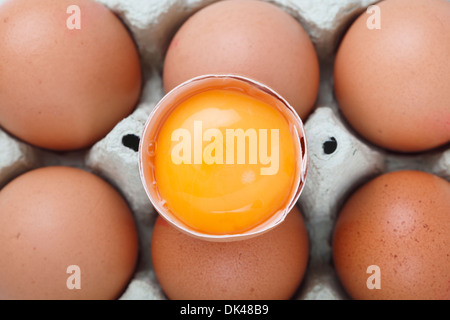 A separated yolk, still in the shell, on top of a carton of brown free-range eggs Stock Photo