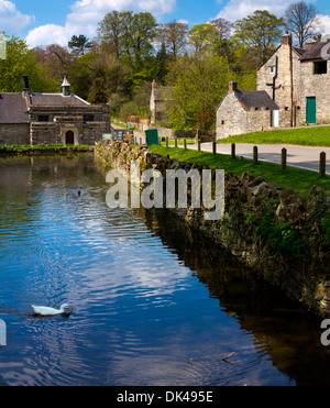 Tissington pond near Ashbourne in Derbyshire Stock Photo - Alamy