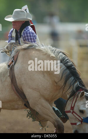 Apr. 16, 2011 - Red Bluff, California, U.S - Austin Foss of Terrebonne, OR rides Comanchero at the 2011 Red Bluff Round-Up at the Tehama District Fairgrounds in Red Bluff, CA. (Credit Image: © Matt Cohen/Southcreek Global/ZUMAPRESS.com) Stock Photo